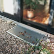 Insekten Schutz
